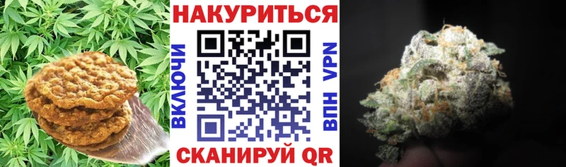 Cannafood конопля  Купить где  Малгобек 