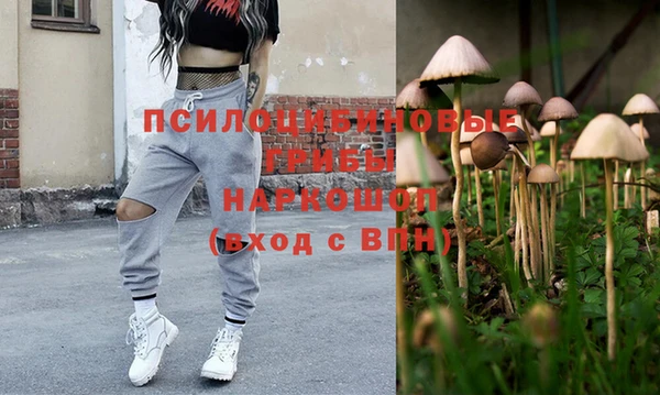 прущие крисы Белокуриха