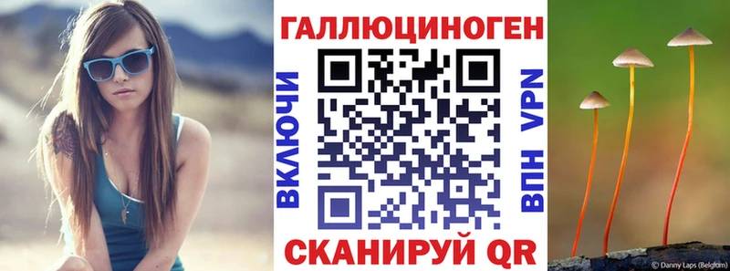 Купить закладки  Малгобек  Галлюциногенные грибы Cubensis 